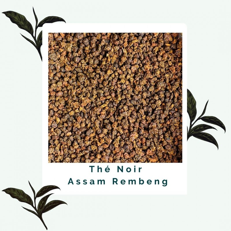 Assam - Thé noir BIO