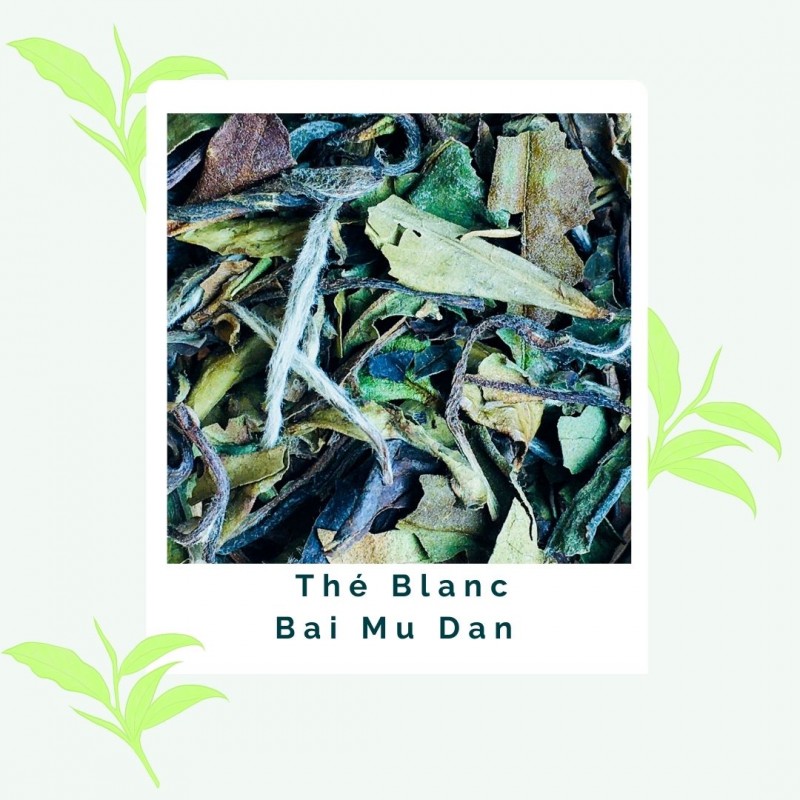 Bai Mu Dan - Thé blanc BIO