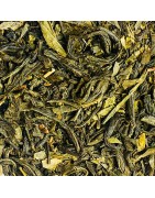 Les thés verts BIO d'origine Tea'magine