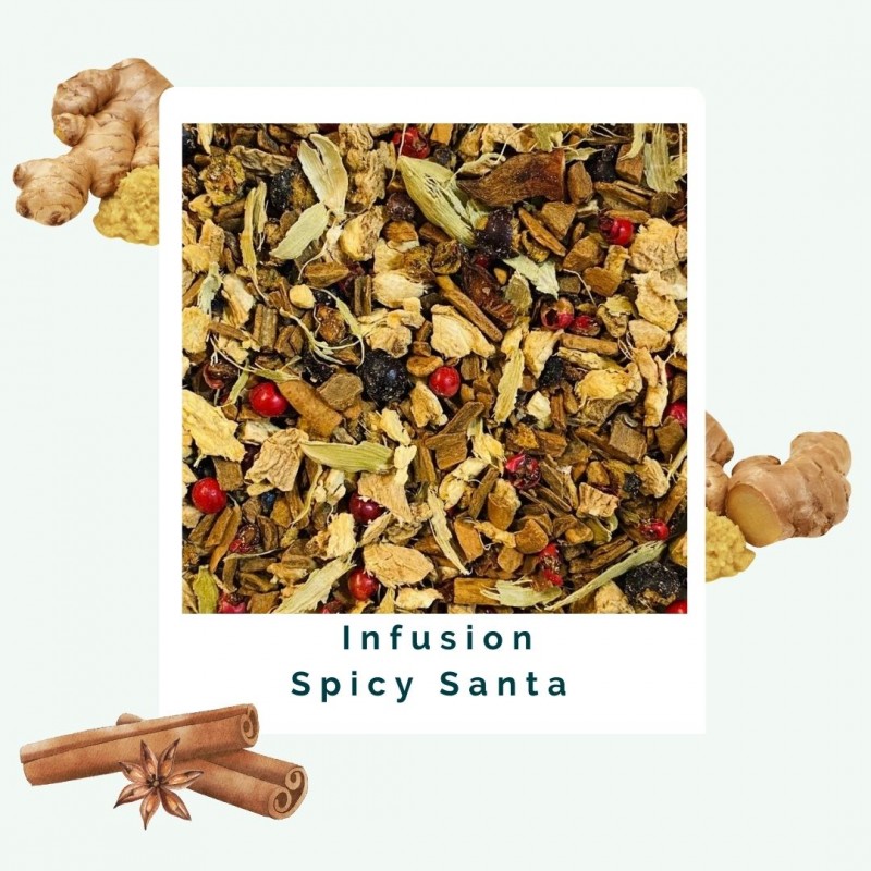 Spicy Santa - Infusion BIO