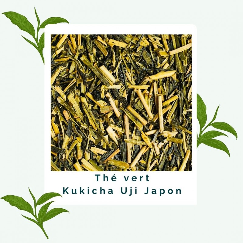 Kukicha Uji Japon - Thé vert BIO