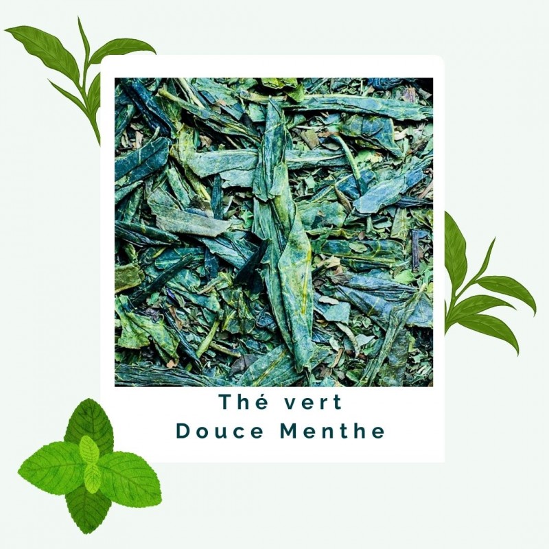 Douce Menthe - Thé vert BIO