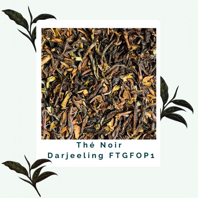 Darjeeling FTGFOP1- Thé noir BIO