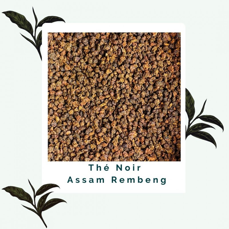 Thé noir Assam - Thé noir BIO