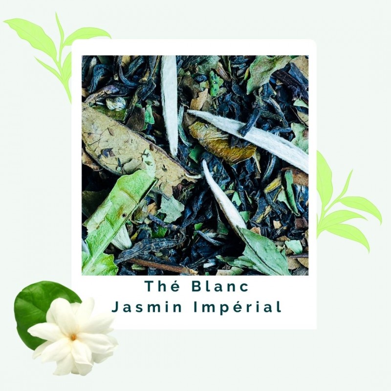Jasmin Impérial - Thé blanc BIO