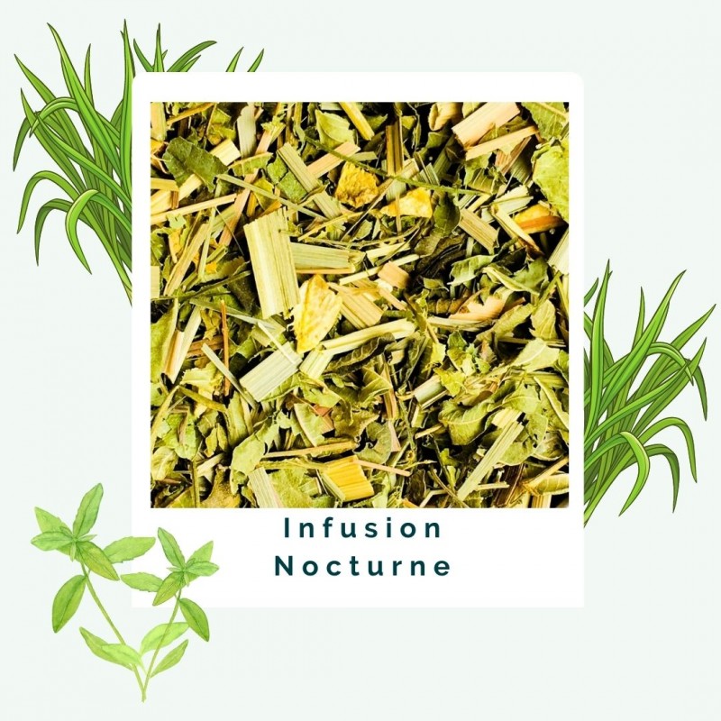 Nocturne - Infusion Sommeil BIO