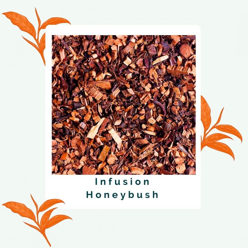 Honeybush - Infusion BIO