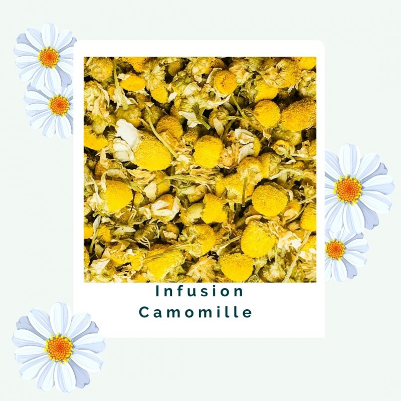 Camomille - Infusion BIO