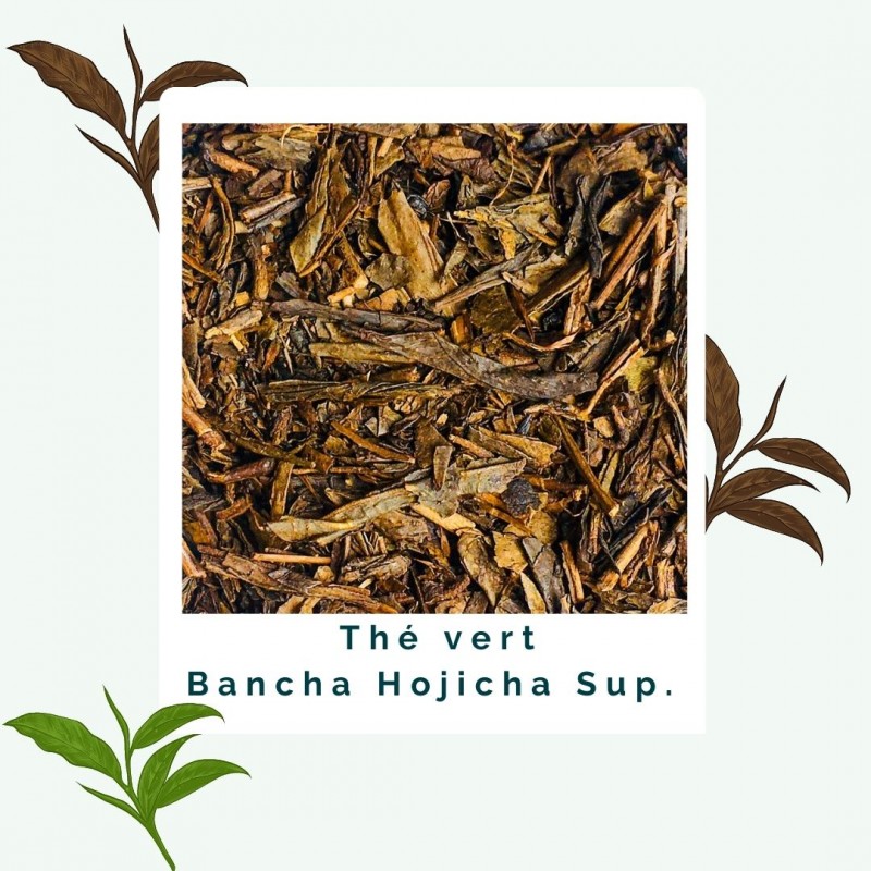 thé vert bio Bancha Hojicha Japon